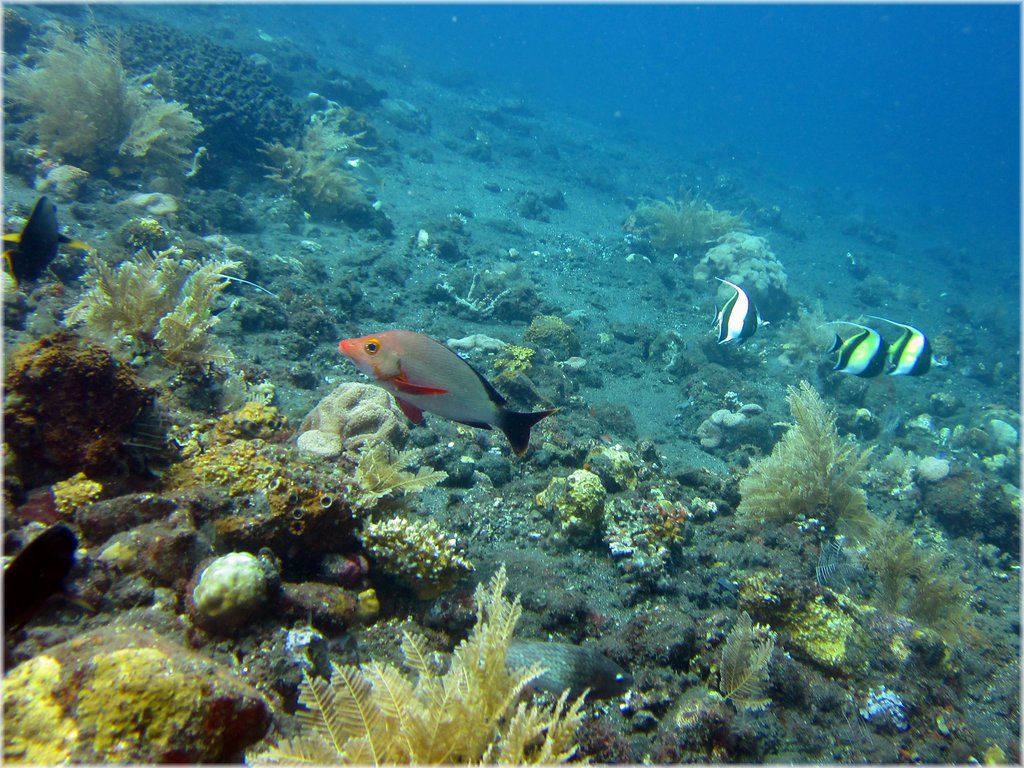 IMG_2267.jpg