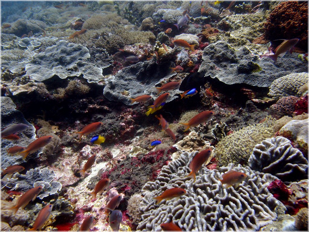 P4160678_b.jpg