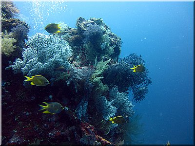 IMG_2162.jpg