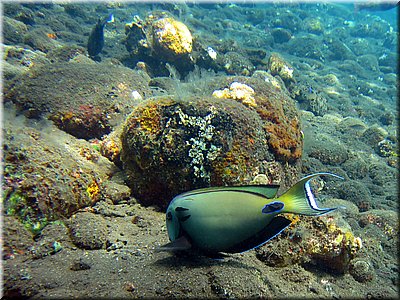 IMG_2211_b.jpg