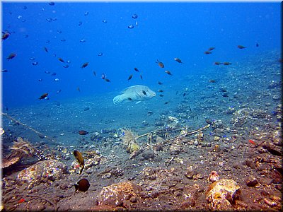 IMG_2215_b.jpg