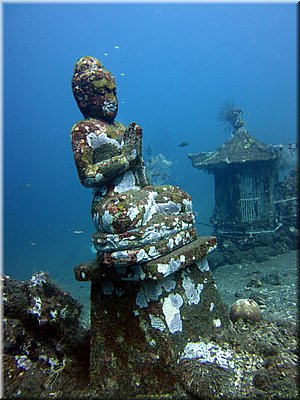 IMG_2247.jpg