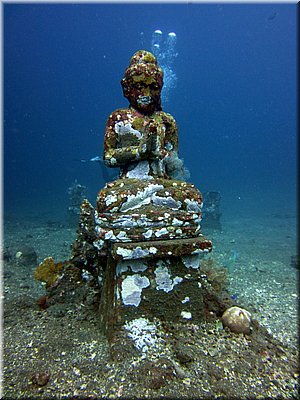 IMG_2248.jpg