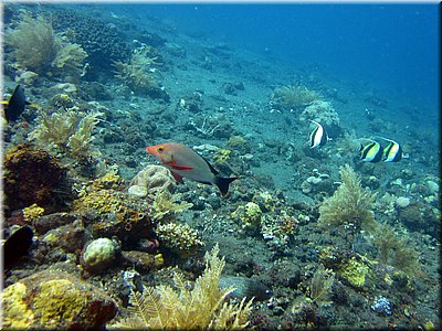 IMG_2267.jpg