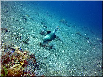 IMG_2277.jpg