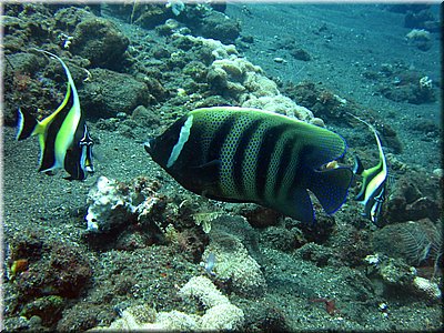IMG_2280_b.jpg