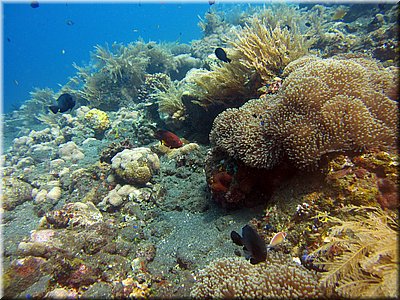 IMG_2291.jpg