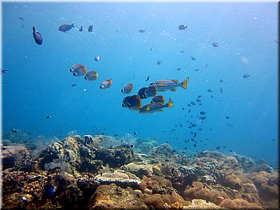 IMG_2294_b.jpg