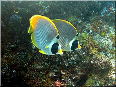 IMG_2304_b.jpg