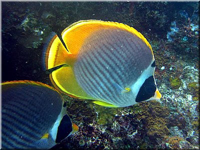 IMG_2306_b.jpg