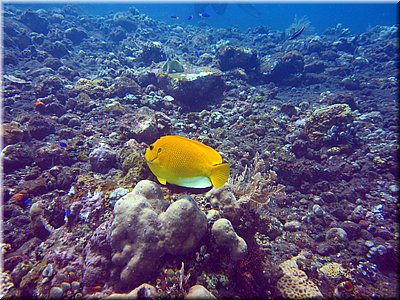 IMG_2307.jpg