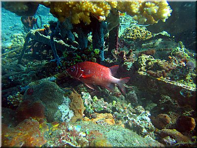 IMG_2323_b.jpg