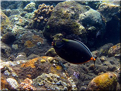 IMG_2325_b.jpg