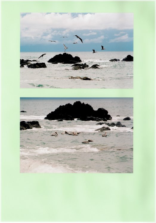 Image131.jpg