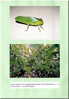 Image025.jpg