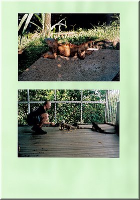 Image065.jpg
