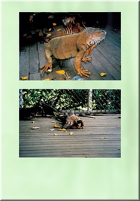 Image067.jpg