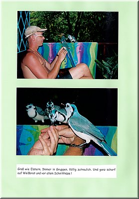 Image114.jpg
