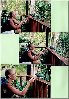 Image116.jpg