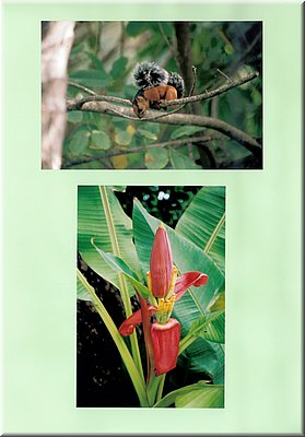 Image117.jpg