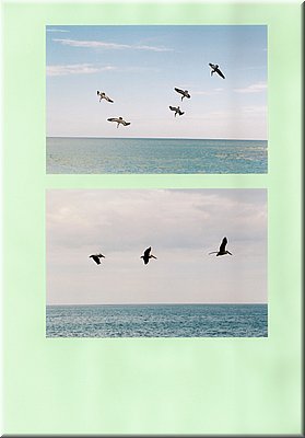 Image121.jpg