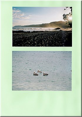 Image130.jpg