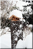 IMG_9302.JPG