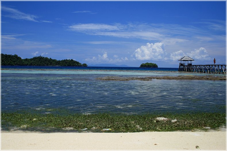 M0011636.jpg