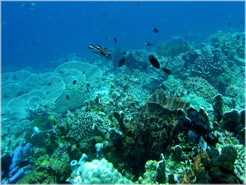 M0011697_b.jpg