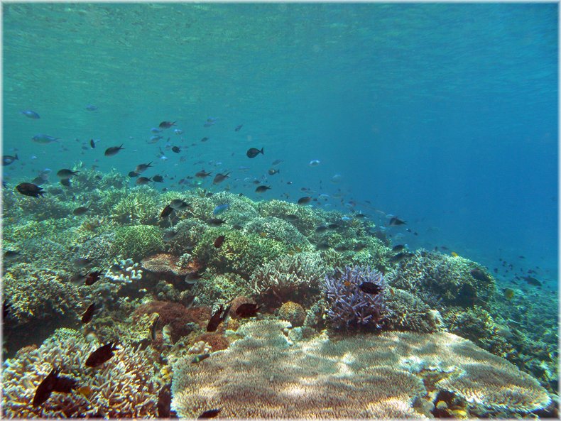 M0011724_b.jpg