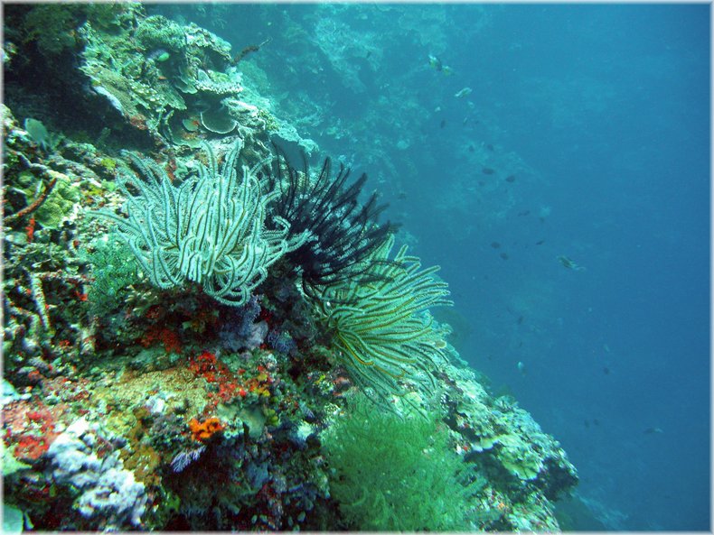 M0011782_b.jpg