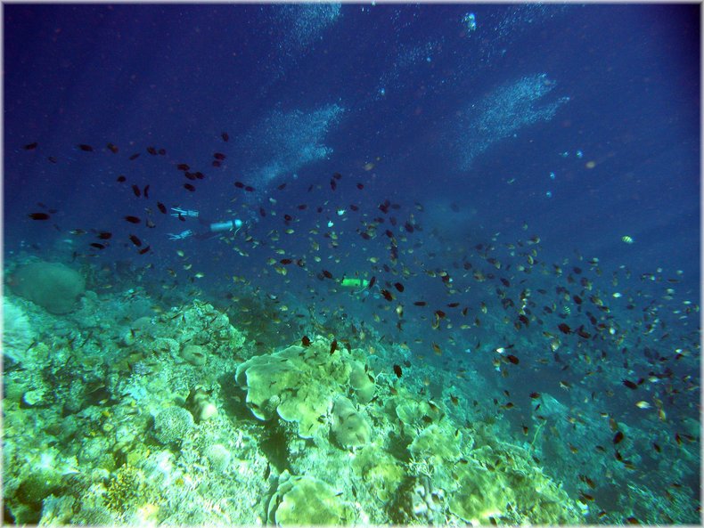 M0011977_b.jpg