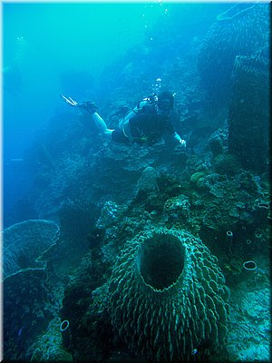 M0011327_b.jpg