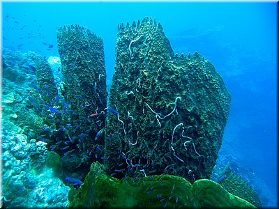 M0011399_b.jpg