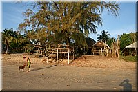 071.JPG