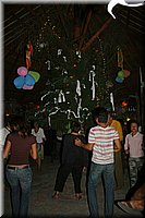 074.jpg