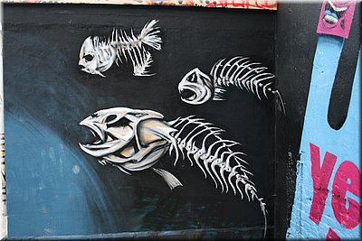 IMG_2939.JPG
