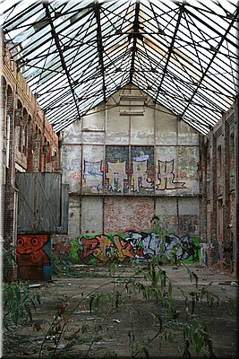 IMG_5502.JPG