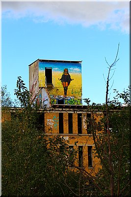IMG_5929.JPG